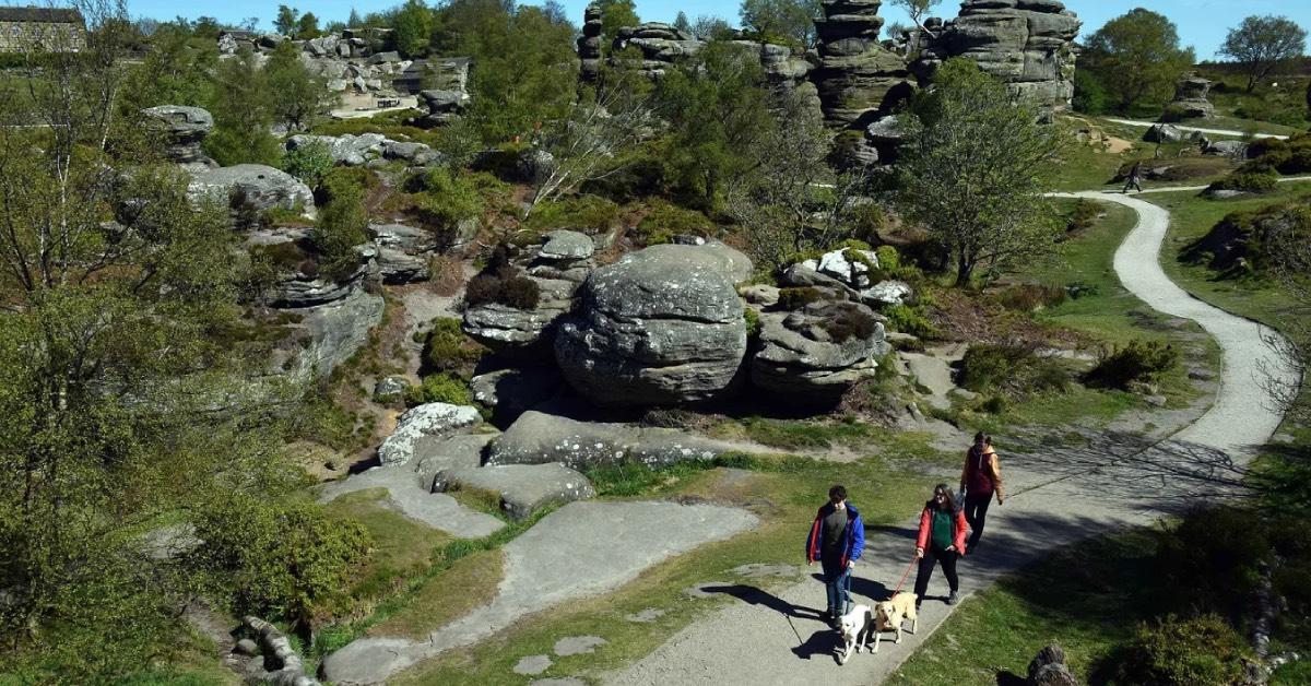 brimham-rocksisitors-dog-walking-brimham-rocks-1346862-jpg