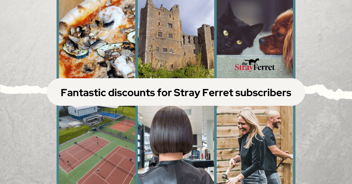 fantastic-discounts-for-stray-ferret-subscribers