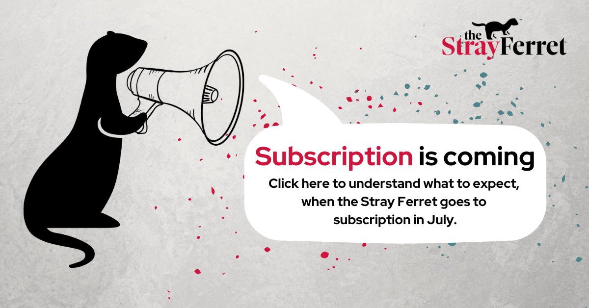 in-post-promo-subscription
