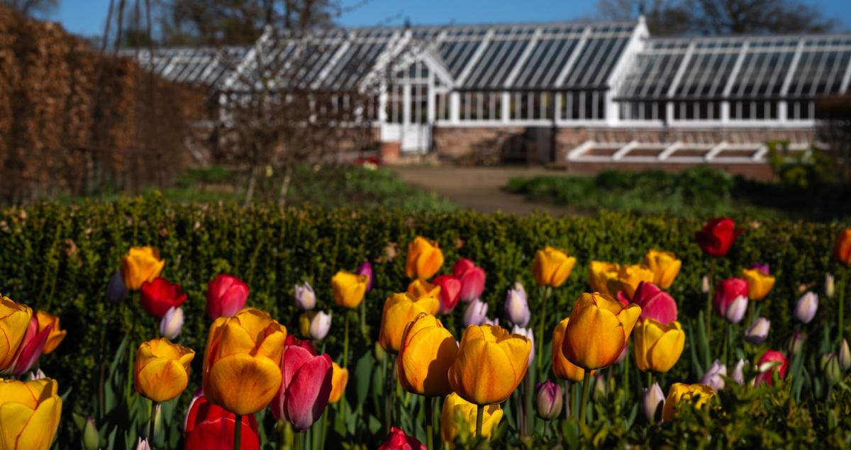 webhelmsley-walled-garden-hotlist-photo