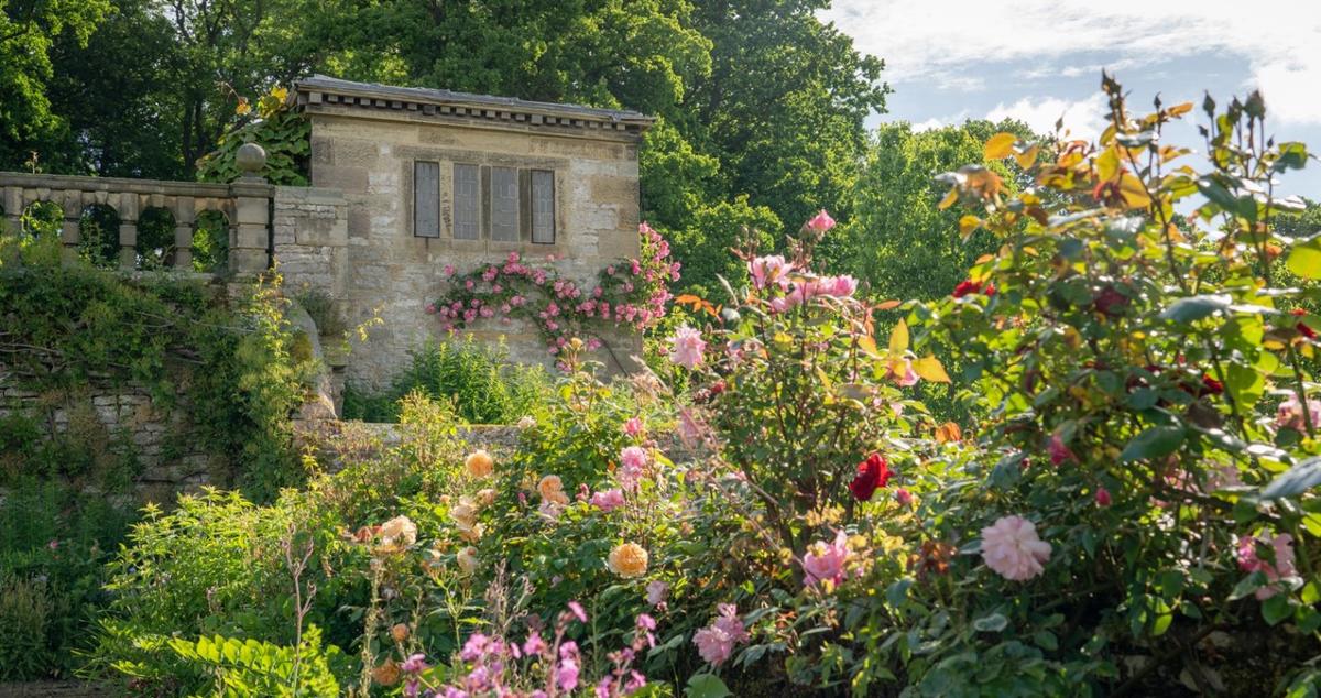 websummer-garden-roses