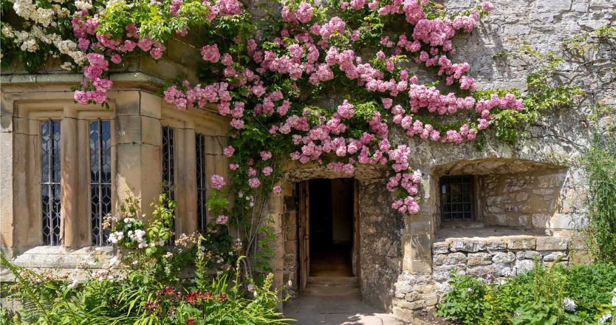 websummer-gardens-haddon-hall