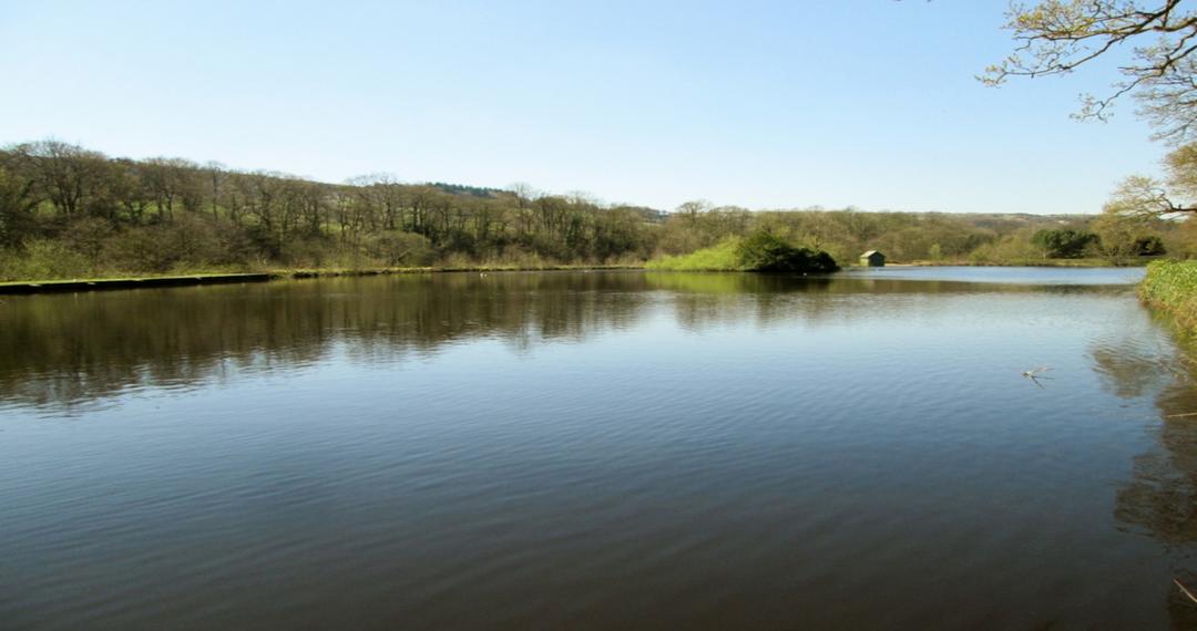 River Nidd pollution fears after dam wall collapses