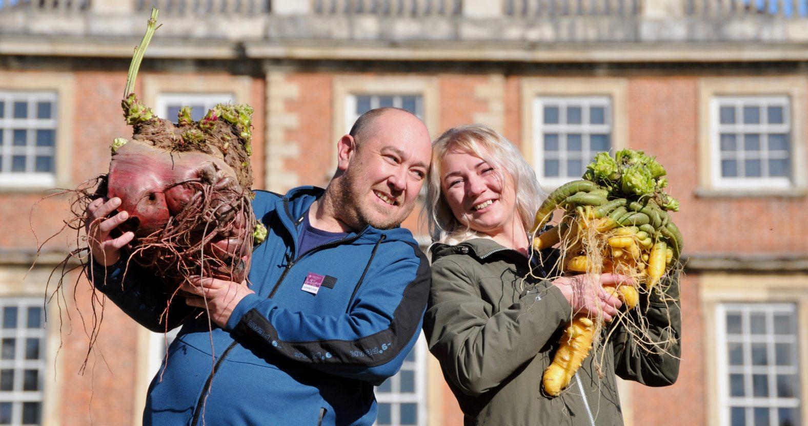 giant-beetroot-and-carrot-1-2