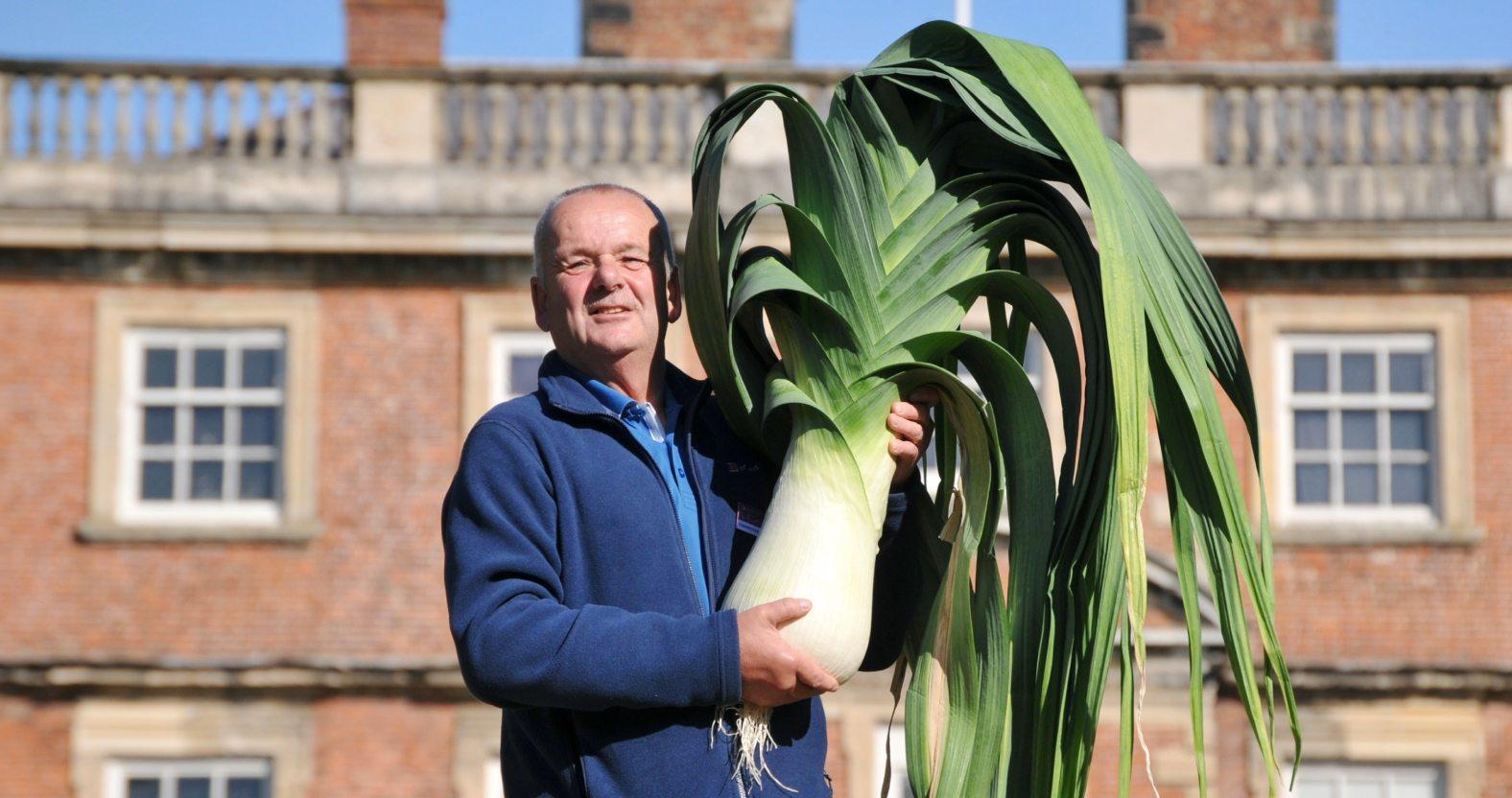 giant-leek-2-main-image