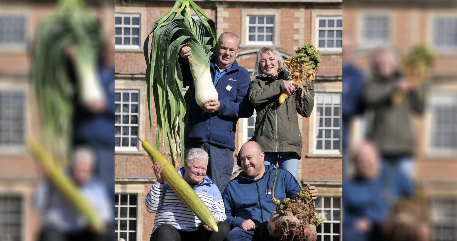 giant-veg