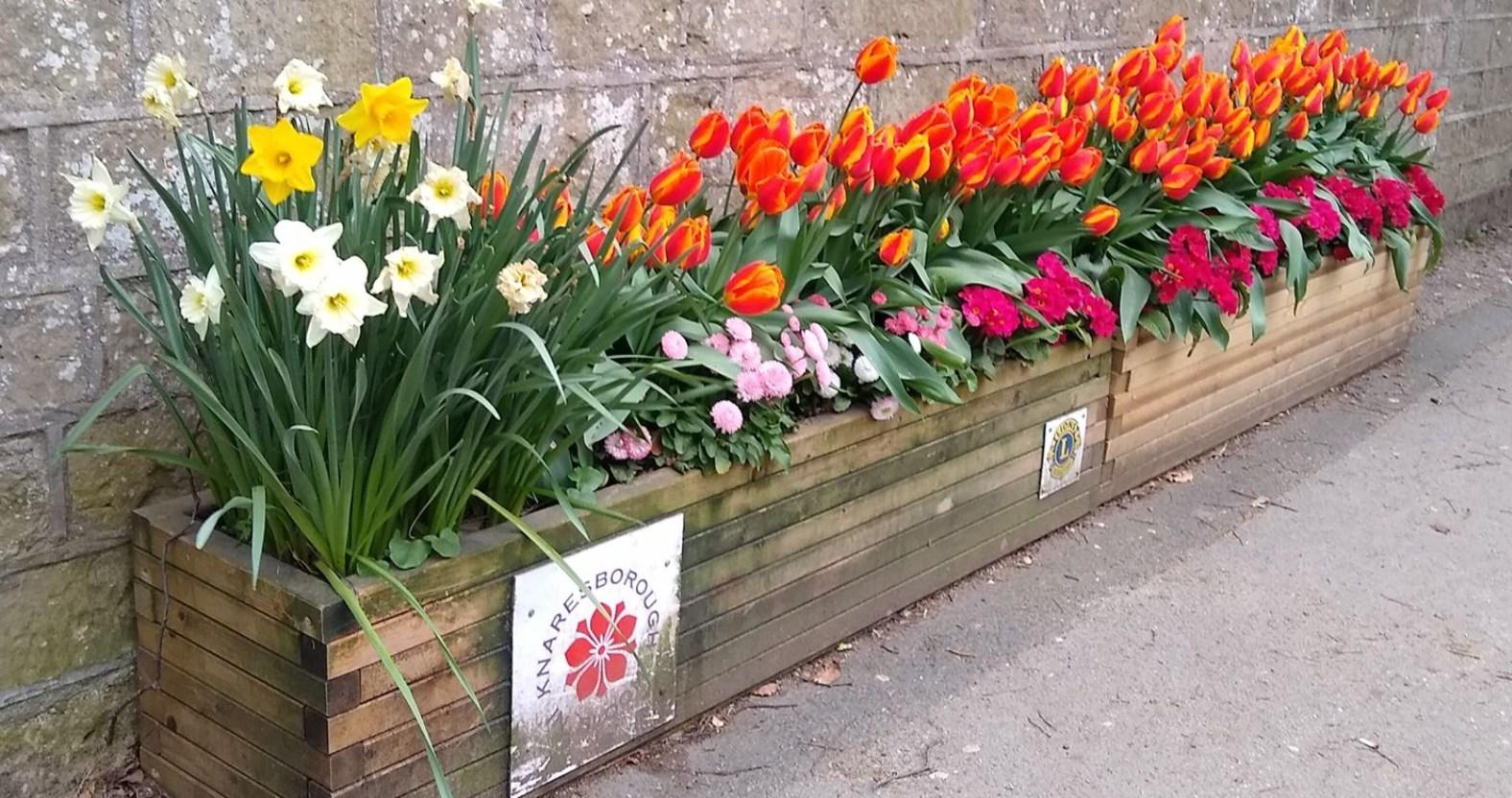 knaresborough-in-bloom