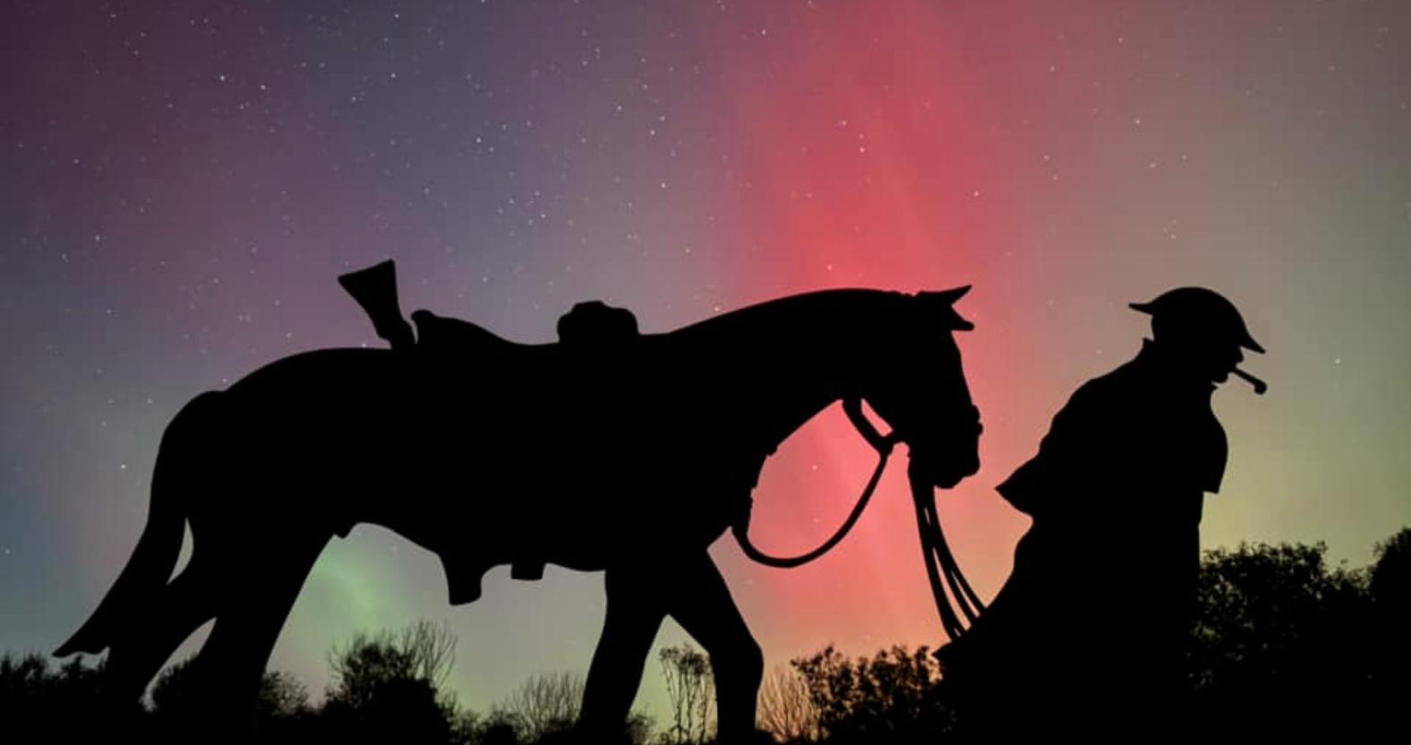 northern-lights-horse