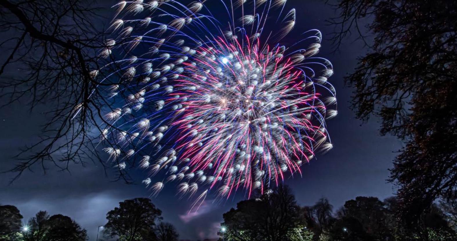 webfirework-edit-7815-1