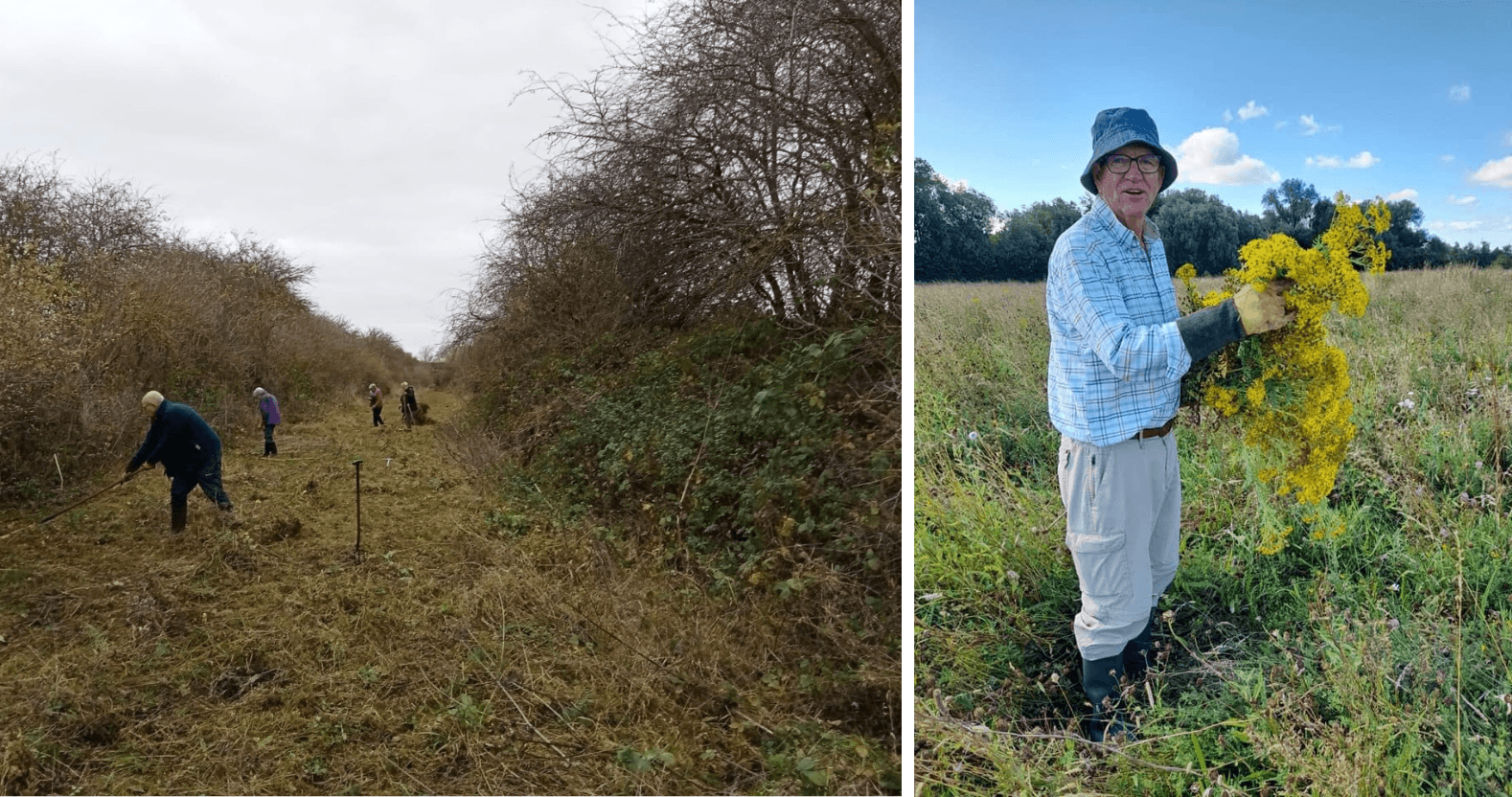 yorkshire-wildlife-trust-volunteers