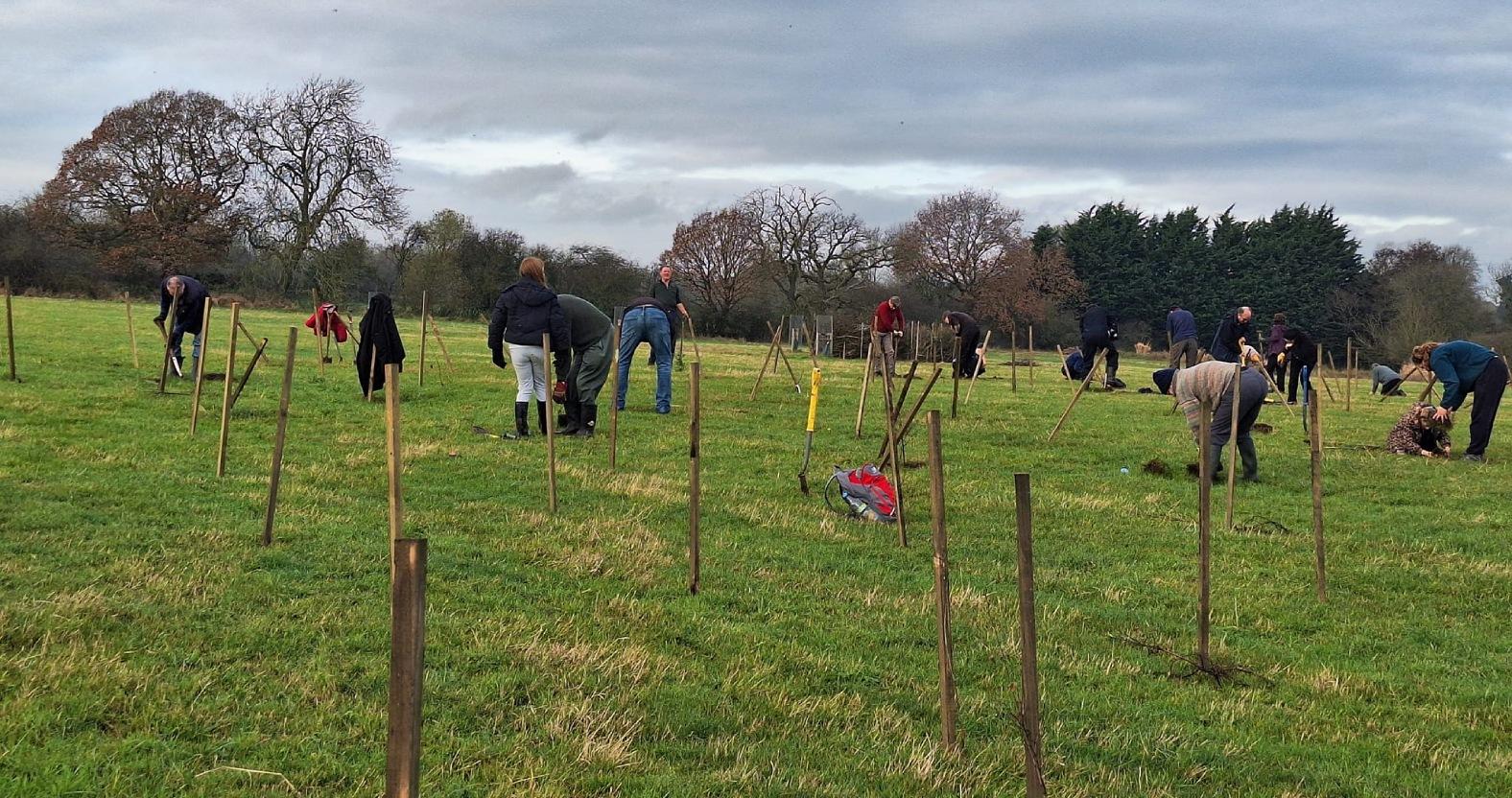 tree-planting-14-1