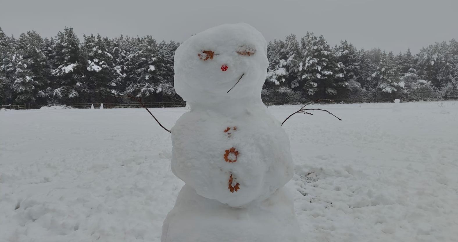 harrogatesnowman