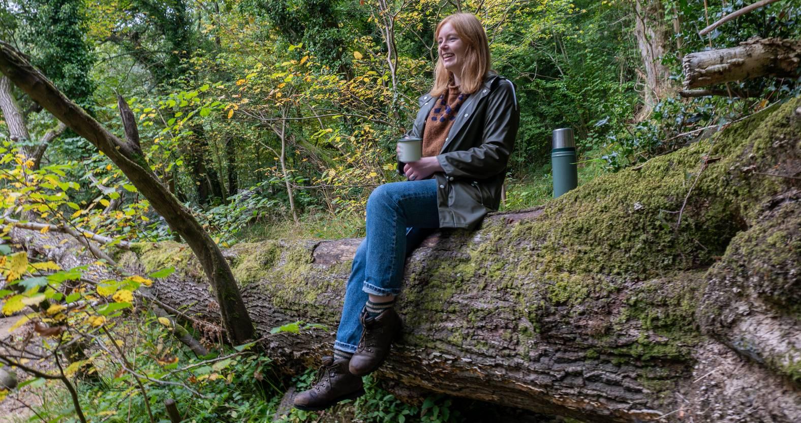 web-forest-bathing