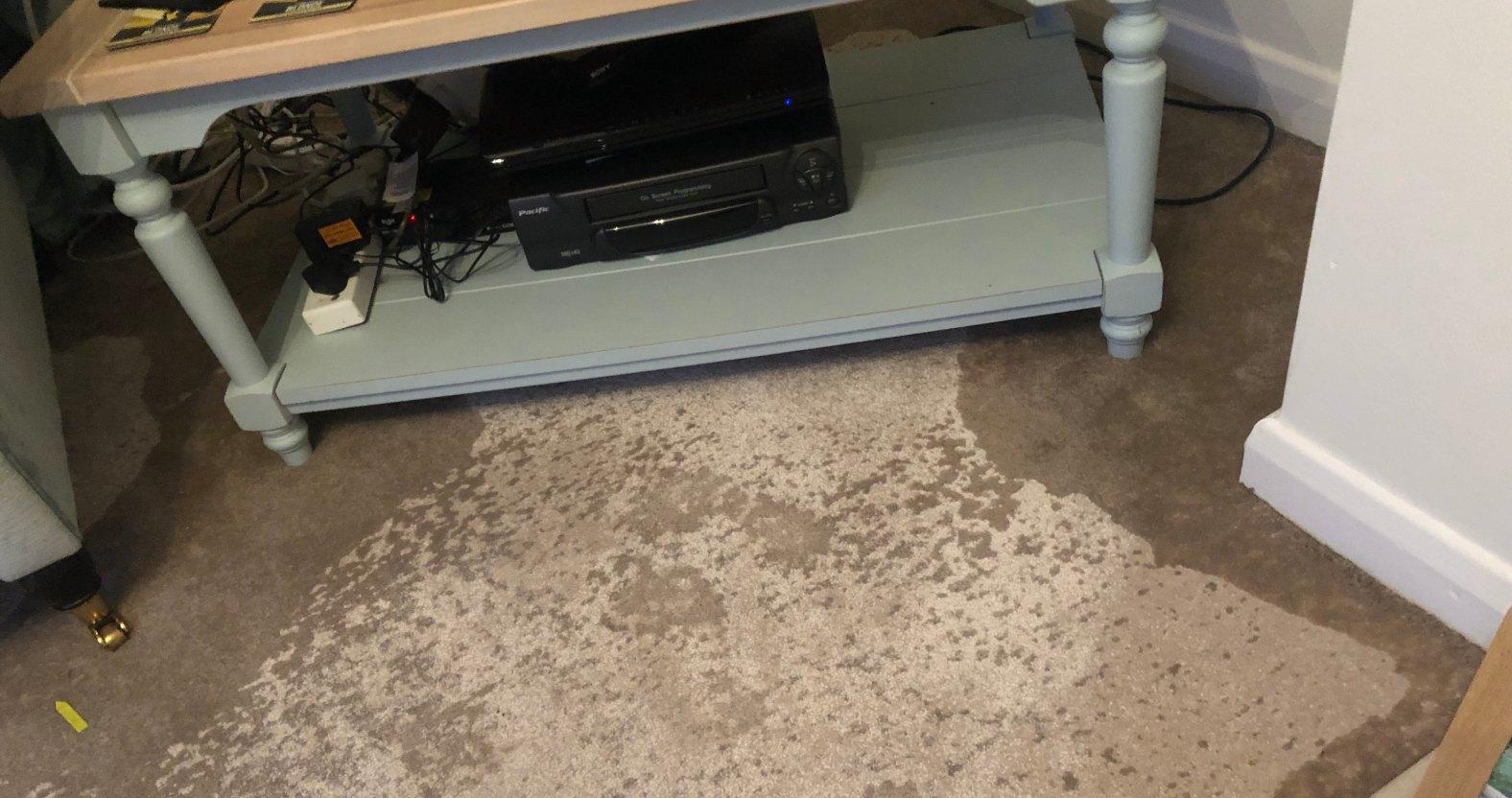 flooding-carpet