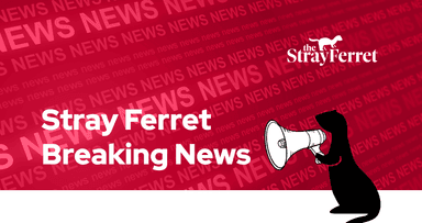 sf101-breaking-news