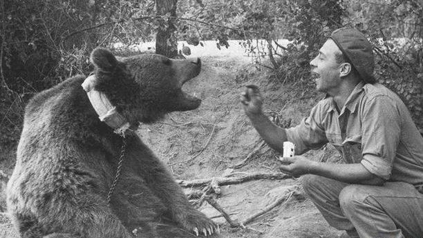 wojtekthebear