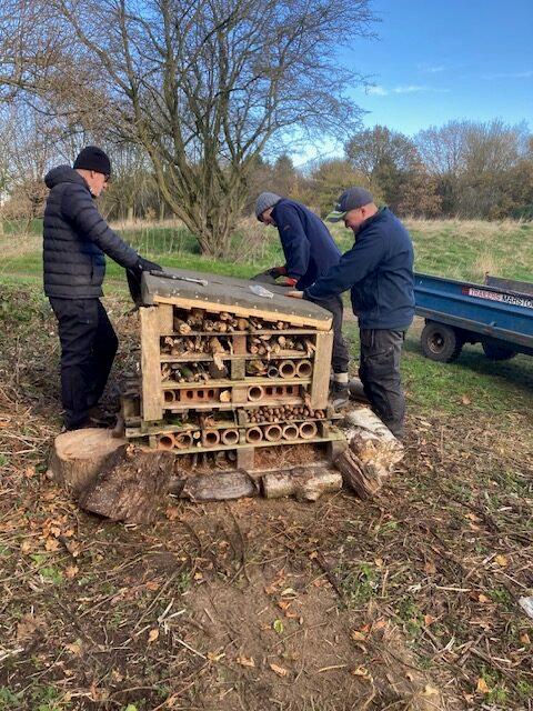 bug-hotel