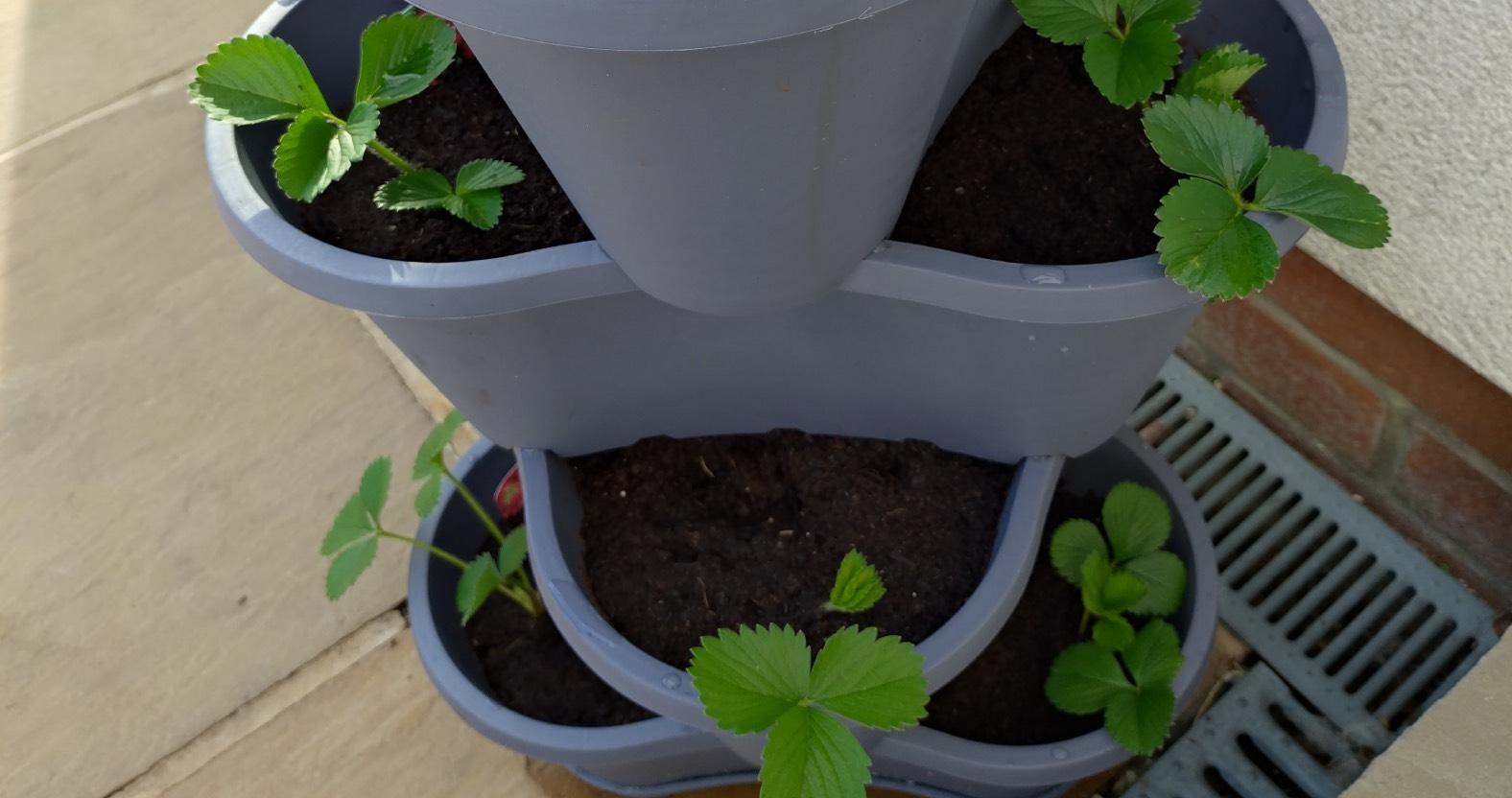 web-stackable-planter