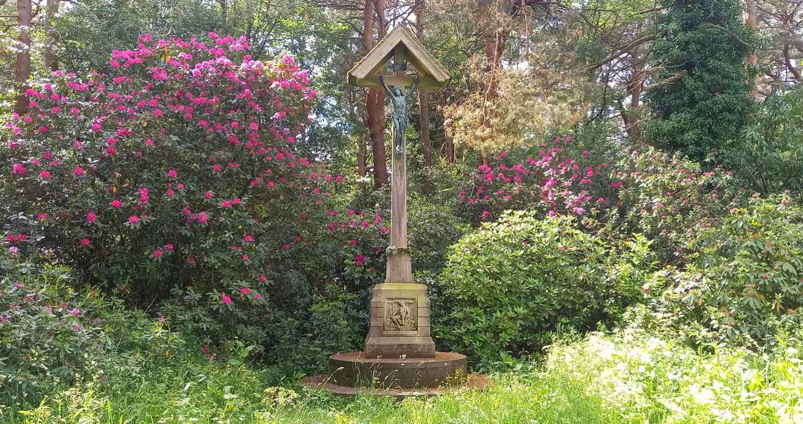 pinewoods-warmemorial