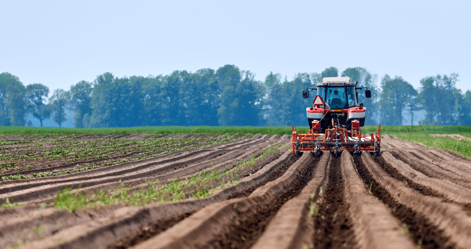farming