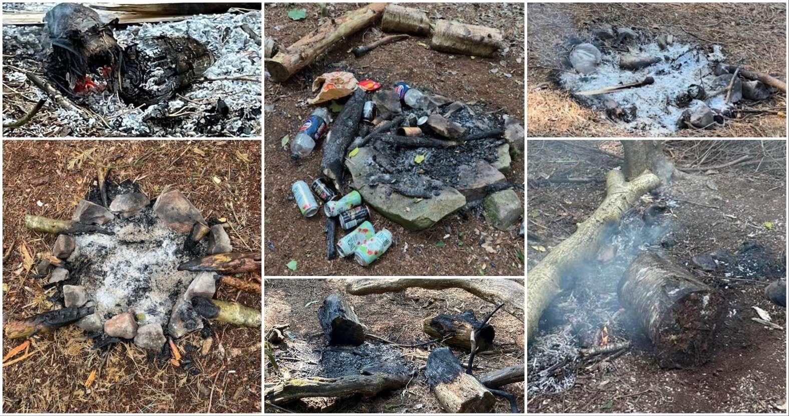 pinewoods-fires