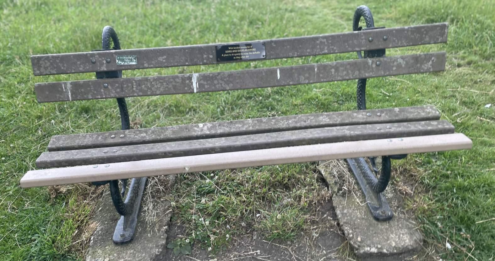 serpentbench-plastic