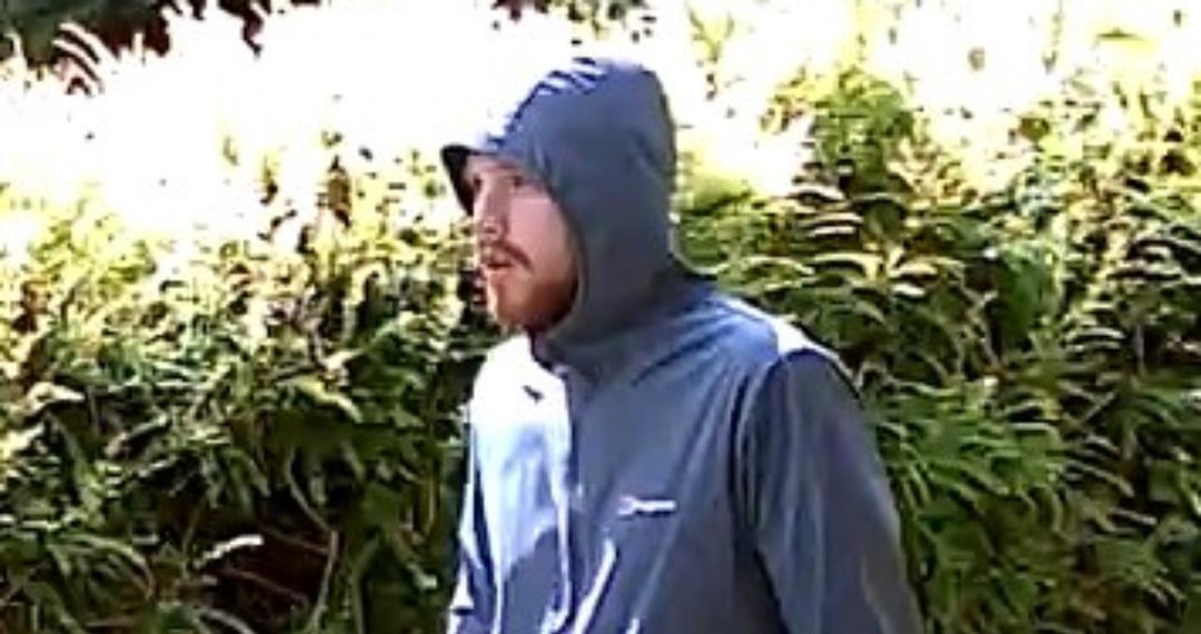 harrogate-burglary