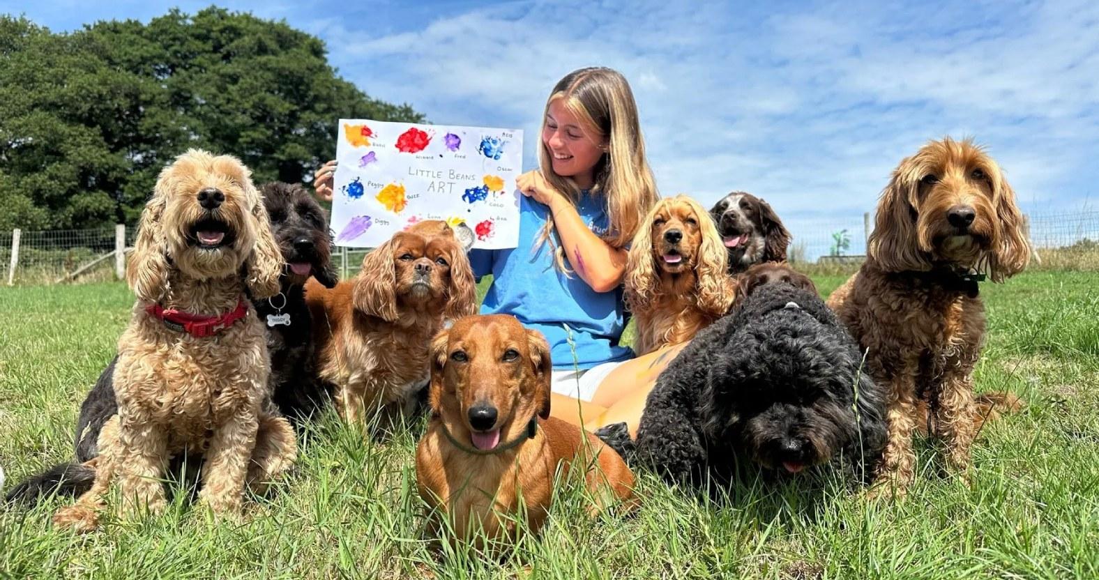 dog-daycare-2