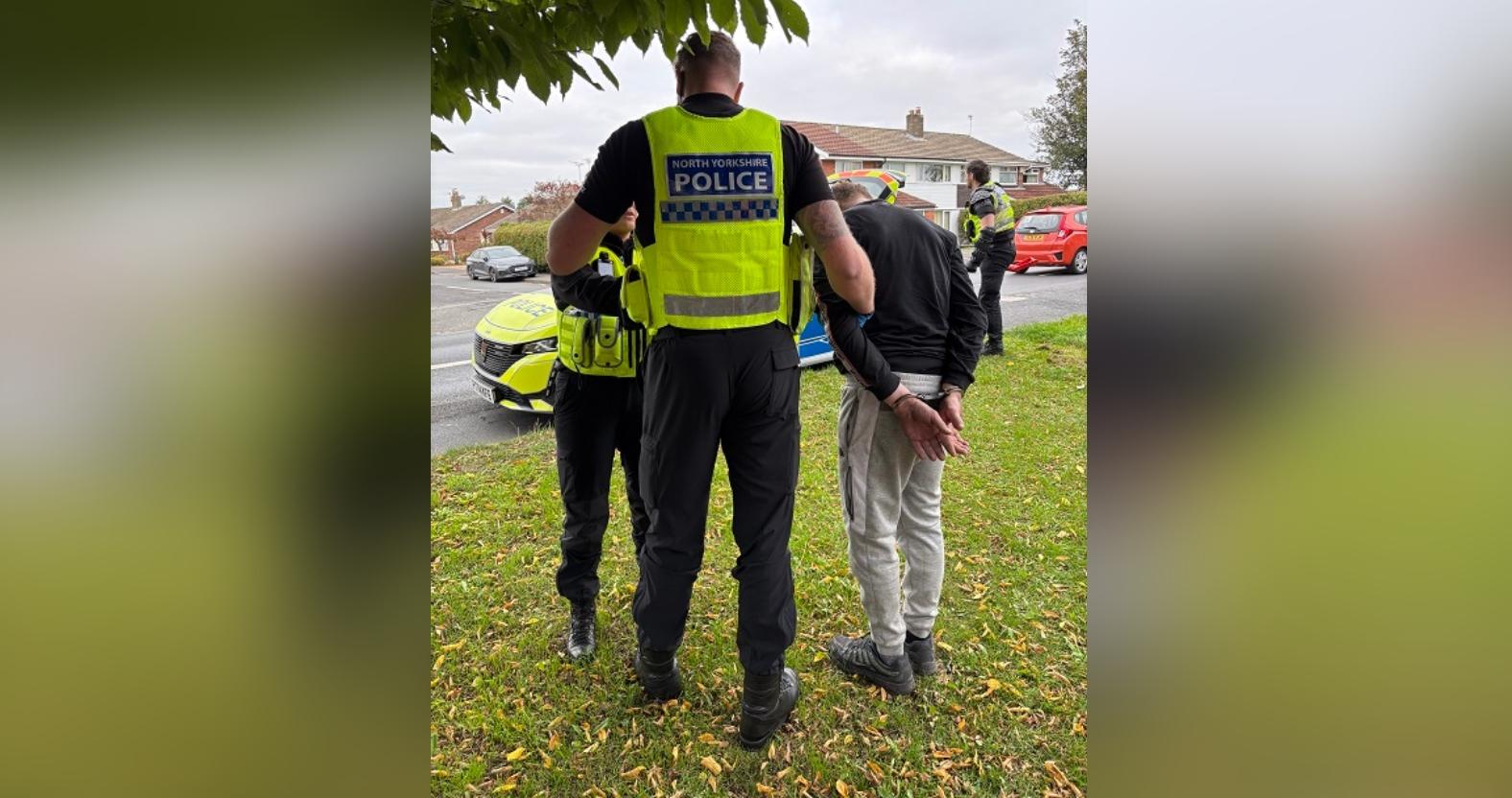 arrest-rs