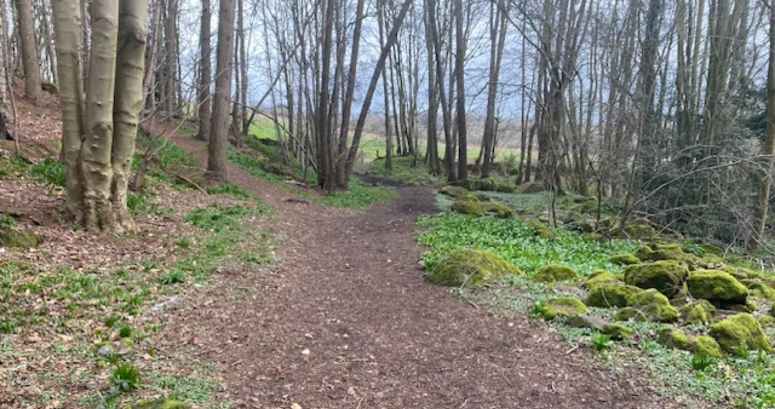 sandybankwood-normal