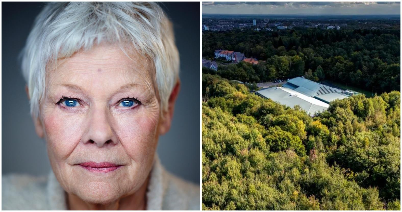 judidenchspringwater