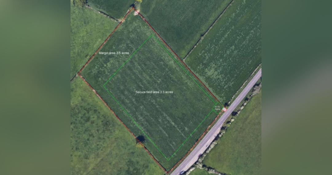 killinghallfield