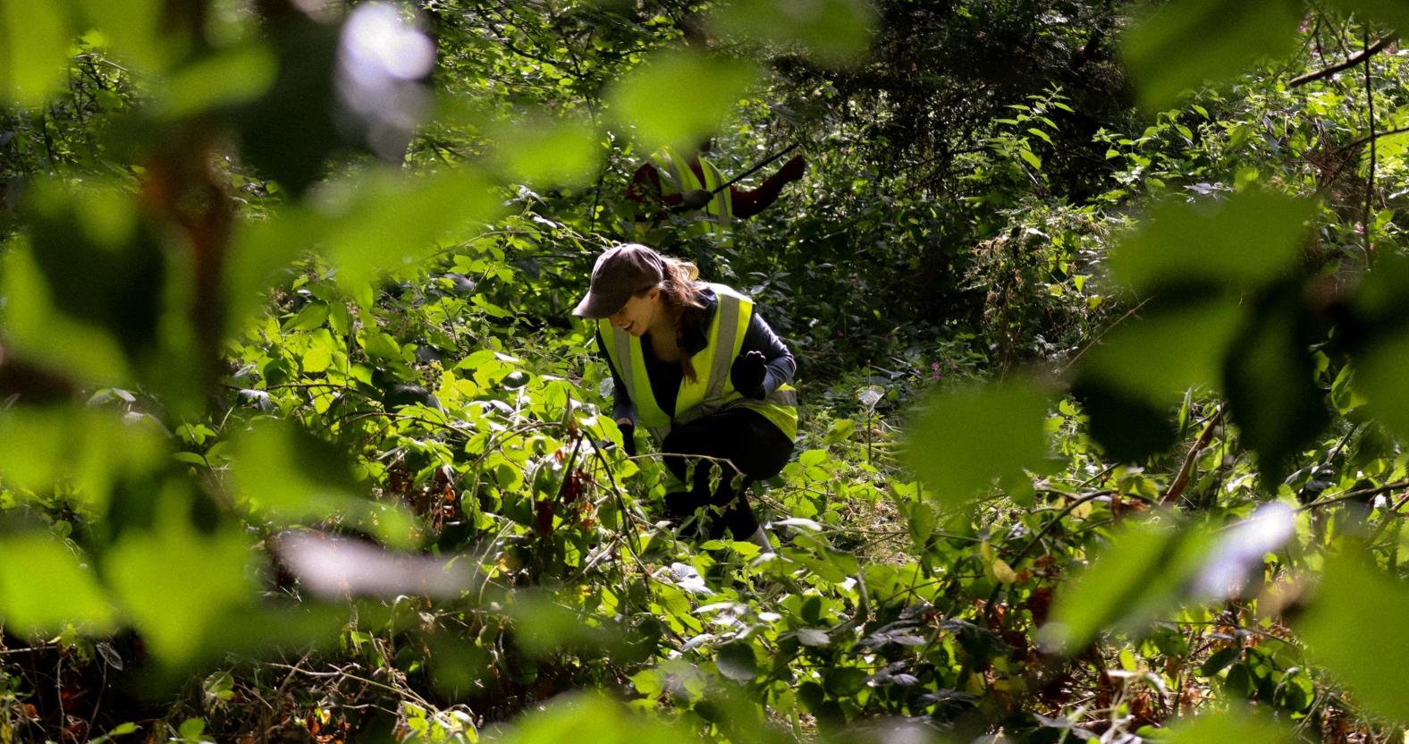 pinewoodsvolunteers
