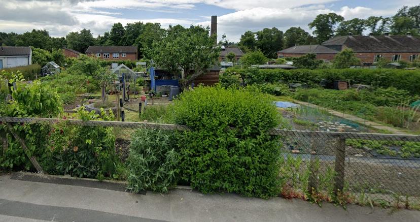 starbeck-allotments