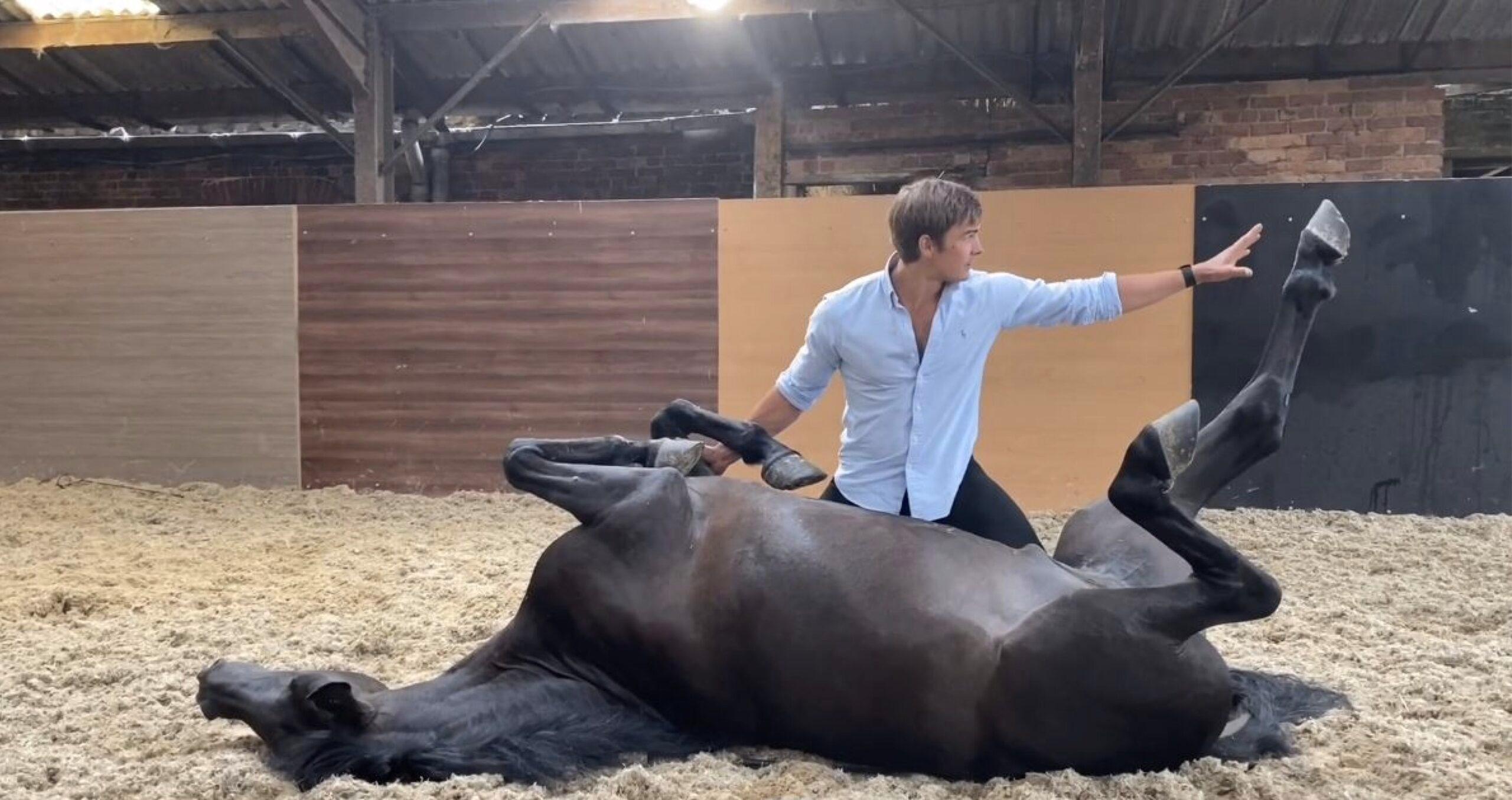 atkinson-horses-stunt-rider