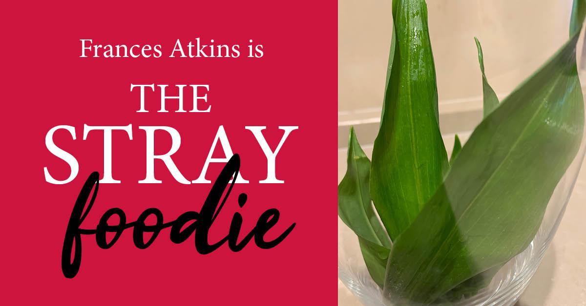 strayfoodie-header-wild-garlic