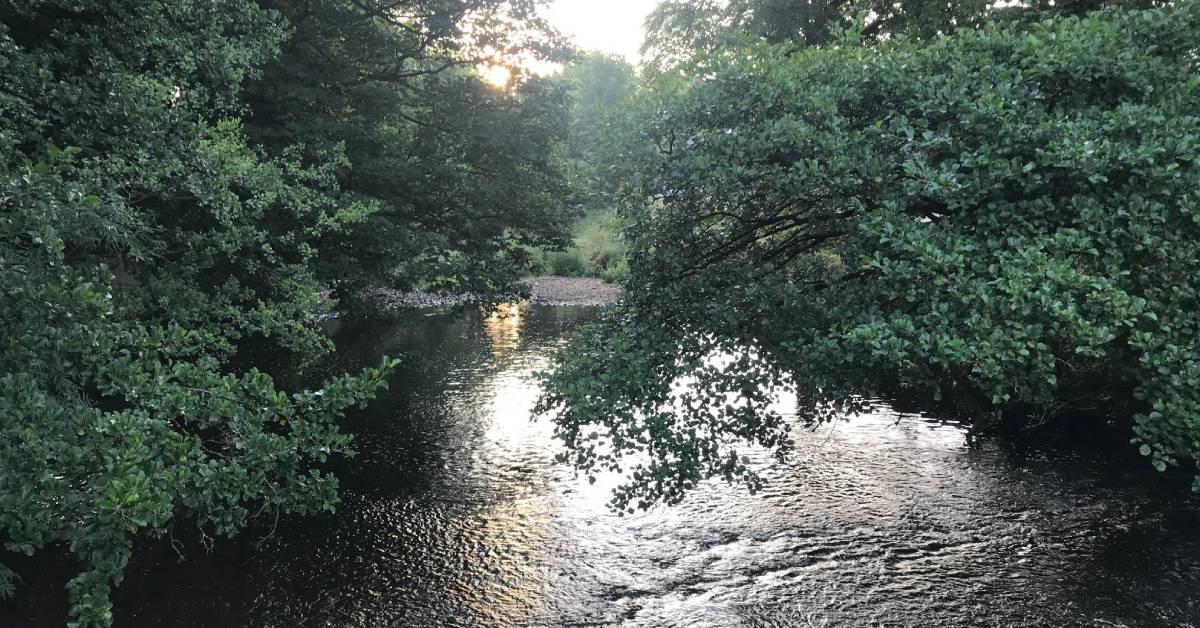 River Skell