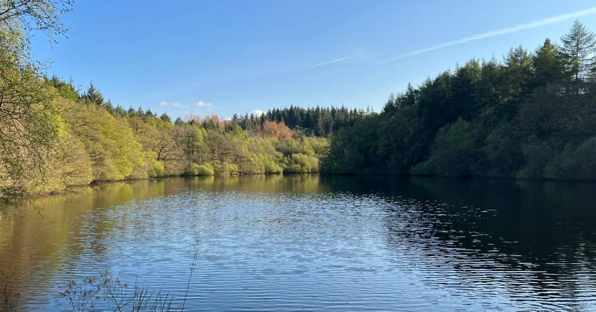 Eavestone Lake