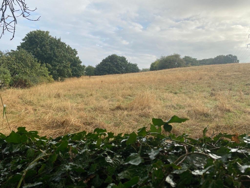 Knox Lane Bilton