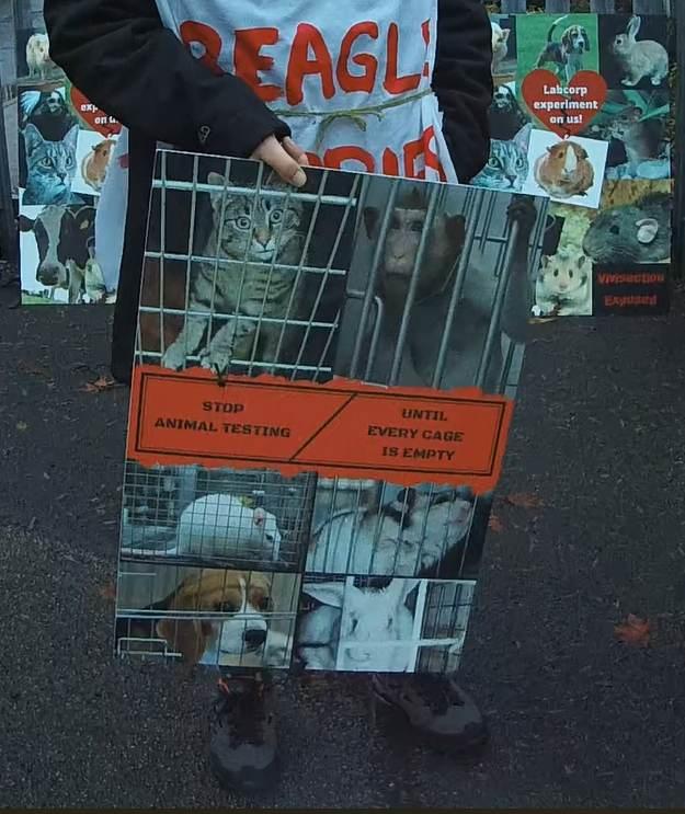 Labcorp protest