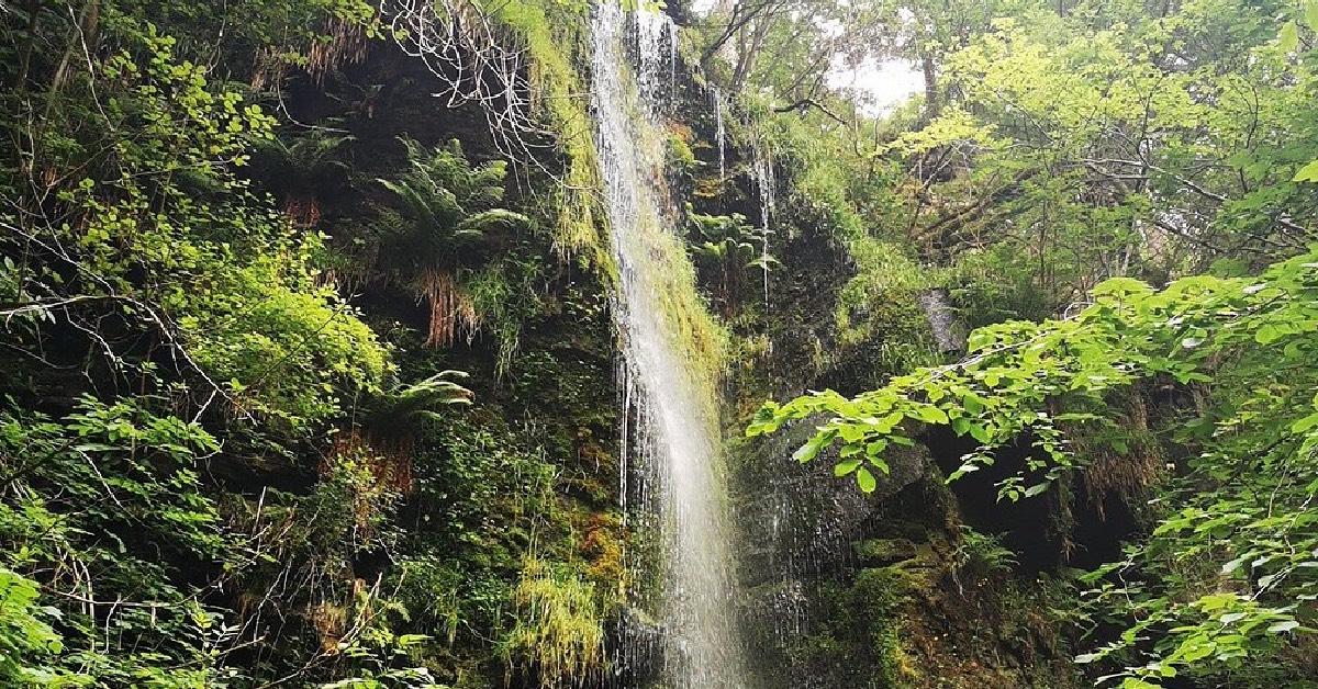mallyan-spout-2