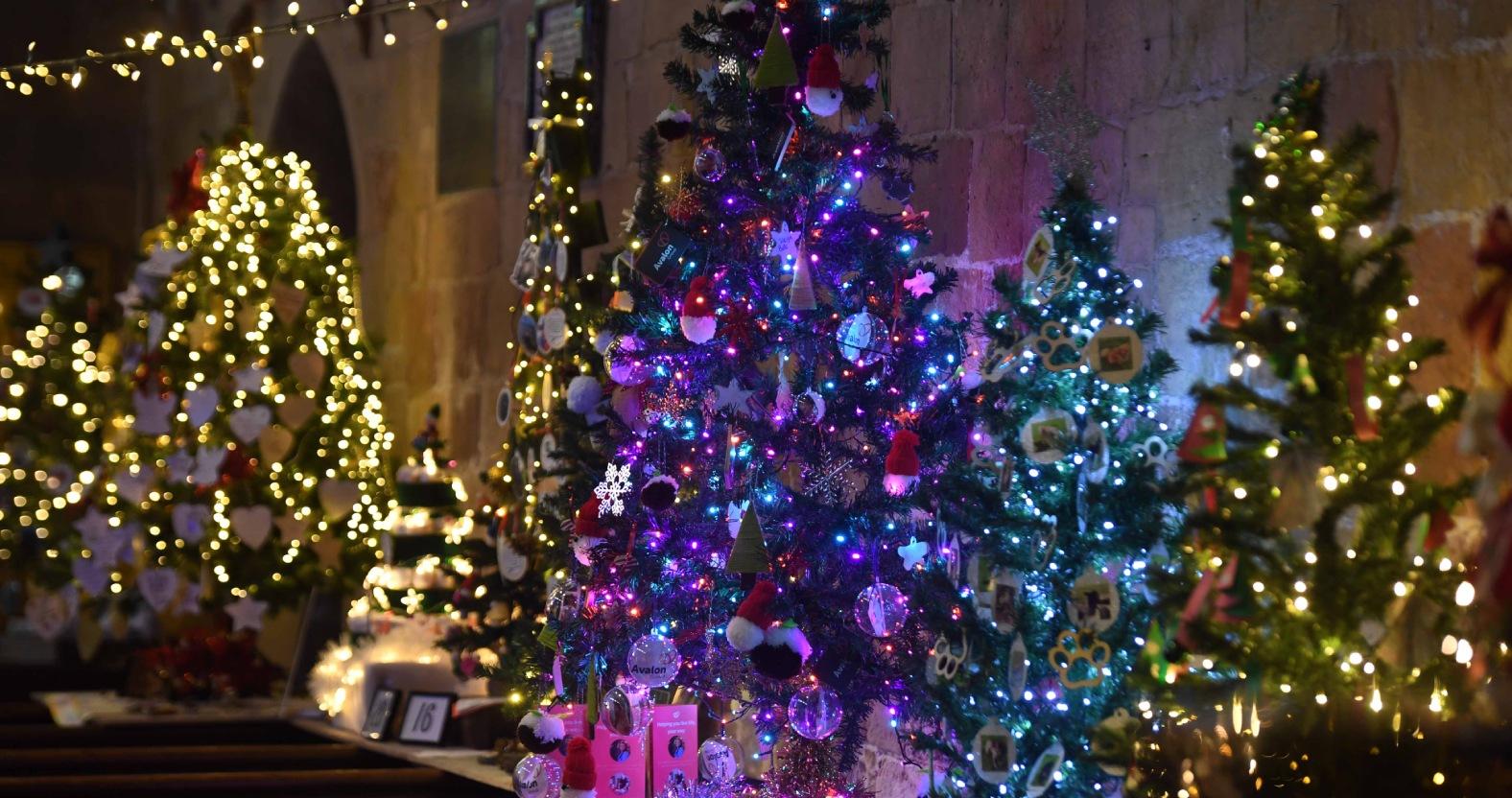 christmas-tree-festival-st-johns-church-knaresborough-pictured-chritmas-trees-on-display-in-the-church-picture-gerard-binks