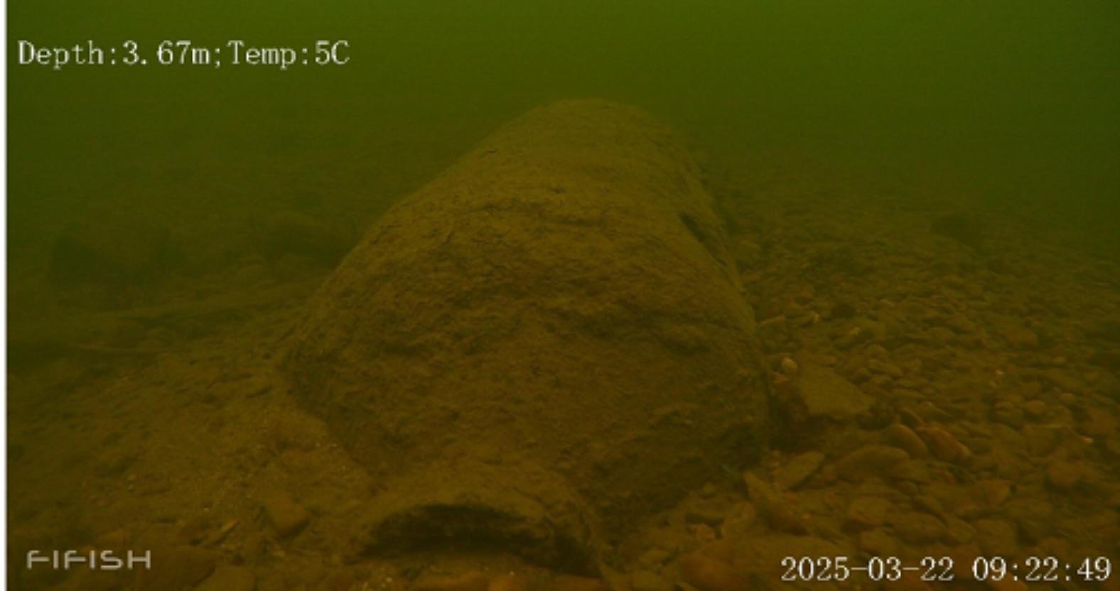 ww2bomb