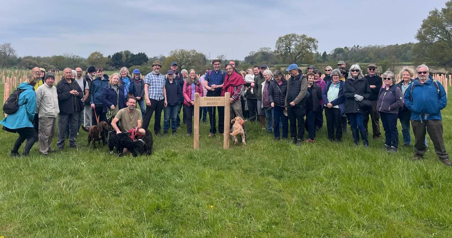 forsterwood-group