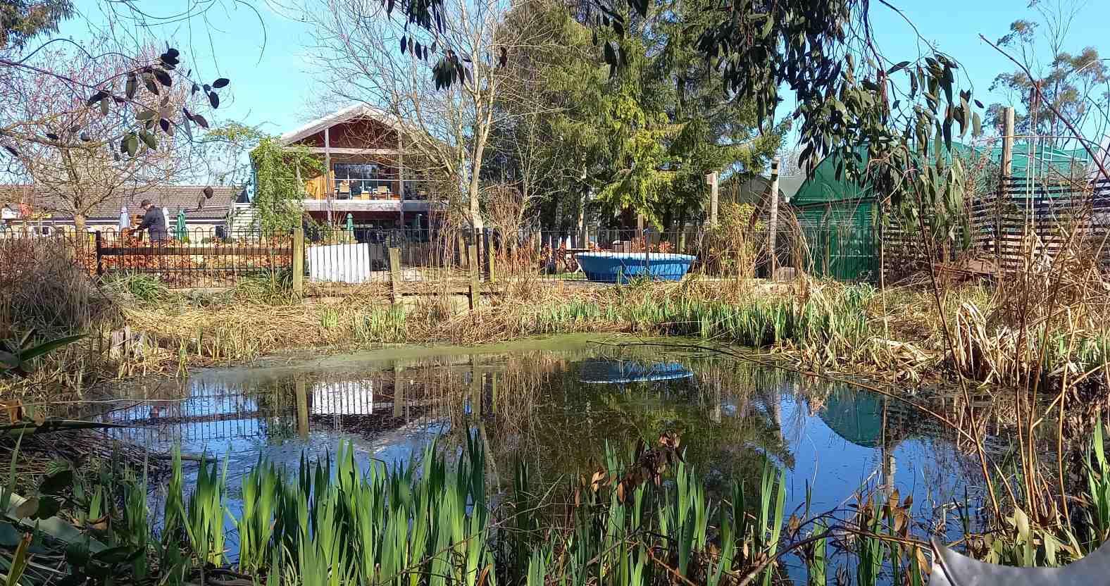 horticap-pond