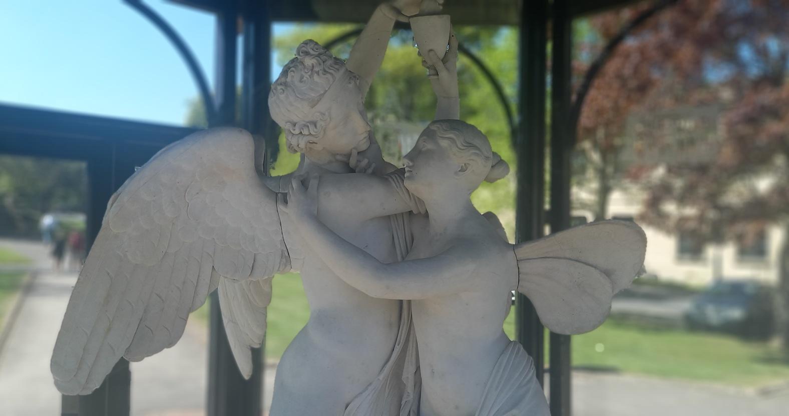 harrogate-cupidpsyche
