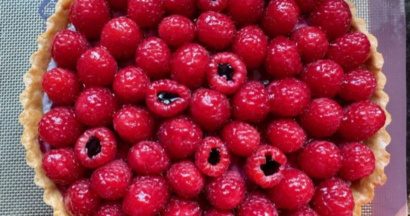 yemi-raspberryhibiscustart-above