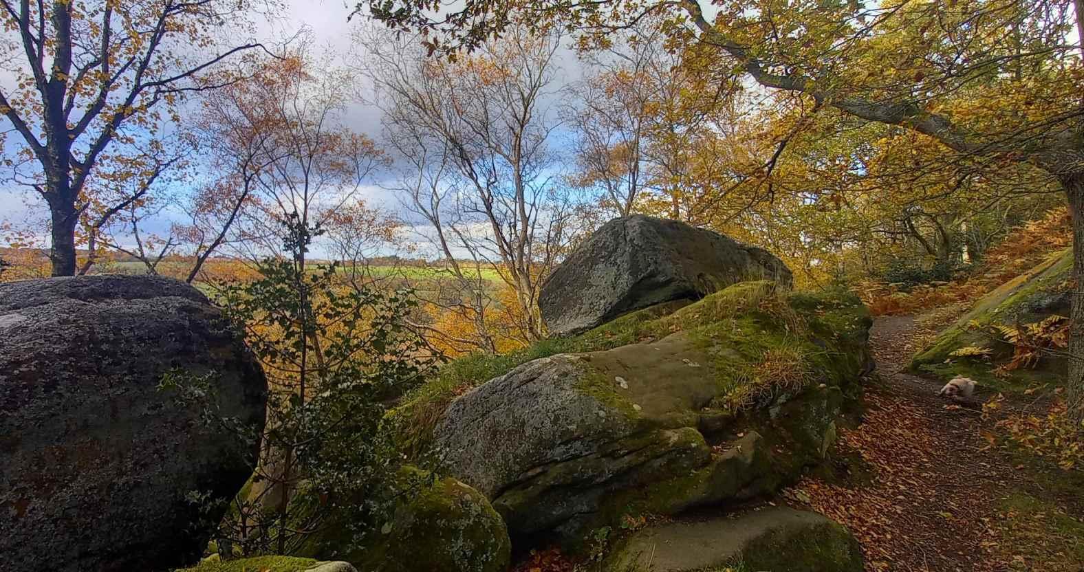 harrogate-birkcrag1