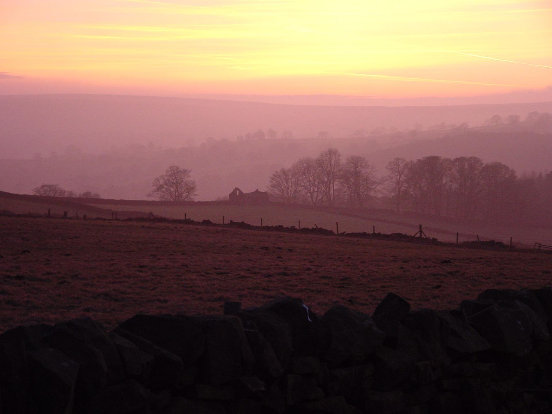 billshaw-mistysunset