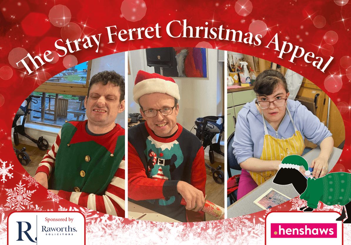 new-stray-ferret-henshaws-christmas-appeal-10-2